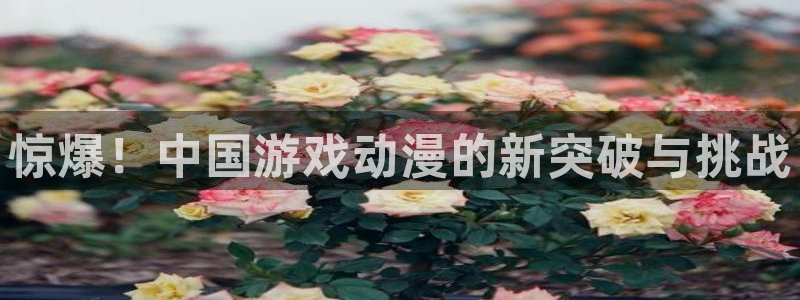 遥远的婚约樱花动漫