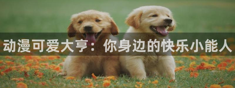 构筑美好国家的方法在线观看樱花动漫：动漫可爱大亨：你身边的快乐小能人