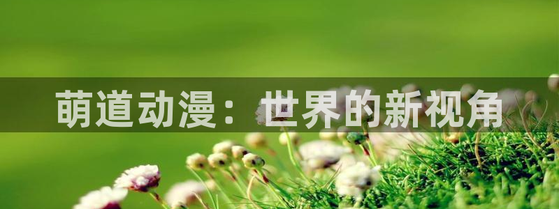 樱花动漫网页版本