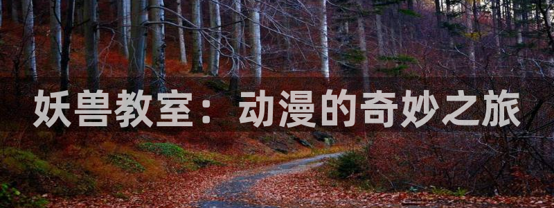 樱花动漫官网正版网站