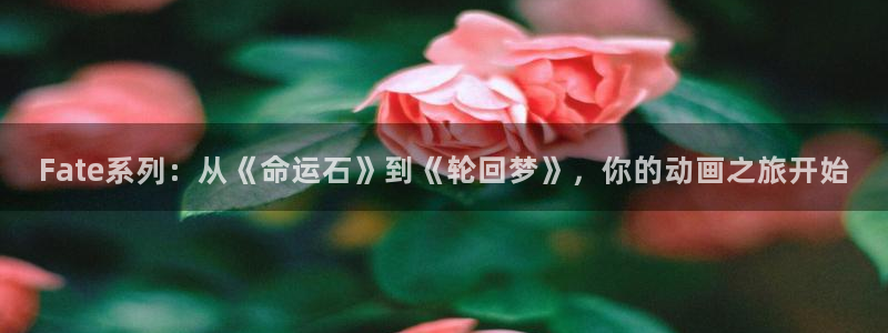 樱花动漫 柯南：Fate系列：从《命运石》到《轮回梦》，你的动画之旅开始