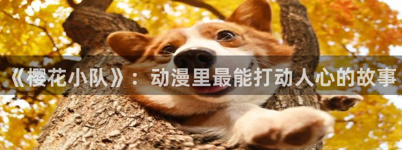 雨恋芳华樱花动漫动漫