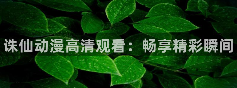表里不一的优秀学生樱花动漫
