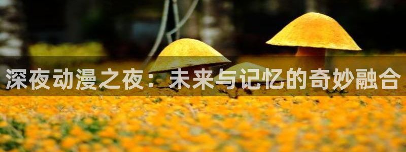 樱花动漫网站上：深夜动漫之夜：未来与记忆的奇妙融合