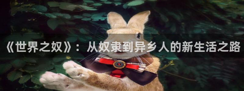 榨精病栋樱花动漫免费看：《世界之奴》：从奴隶到异乡人的新生活之路