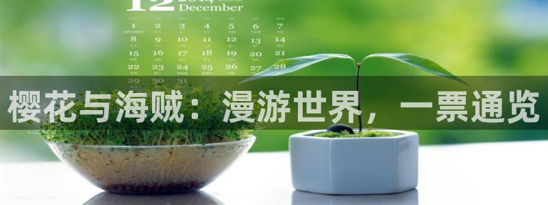 樱花动漫下架了
