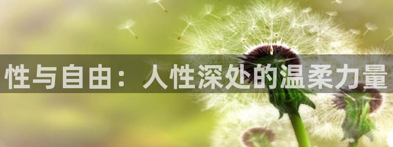 樱花动漫6.：性与自由：人性深处的温柔力量