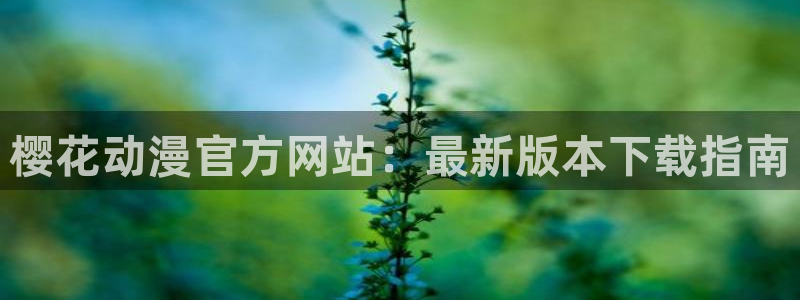 可以触碰你的深处吗樱花动漫