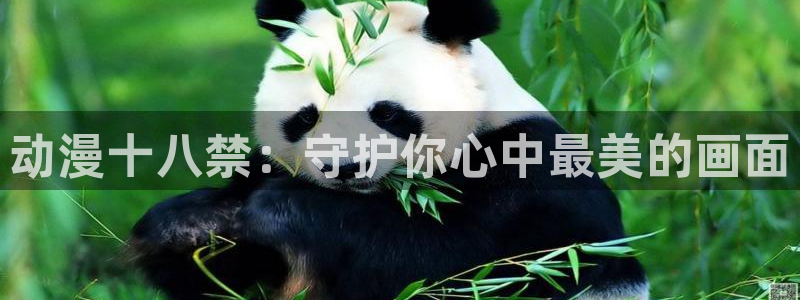 樱花动漫.www