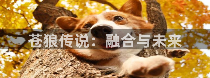 时空之隙樱花动漫