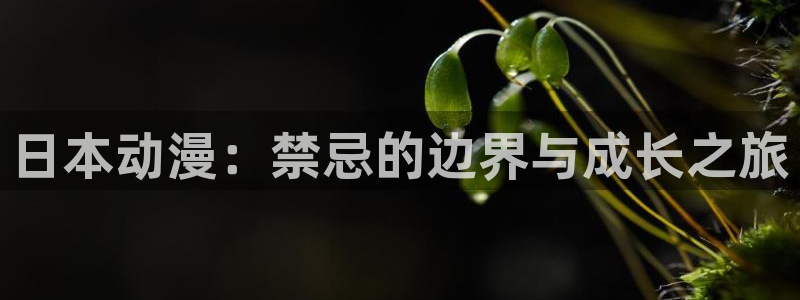 樱花动漫碧蓝之海