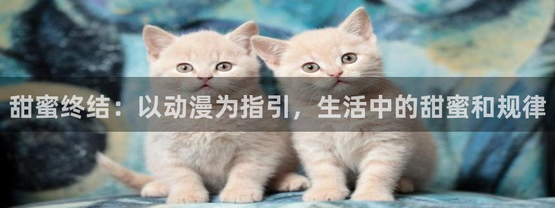 血意少年樱花动漫
