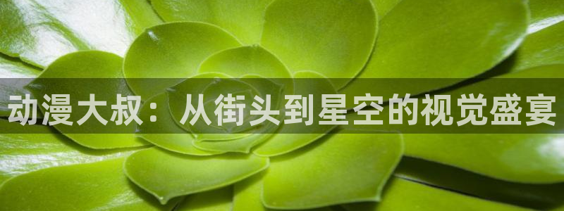 女装正太樱花动漫