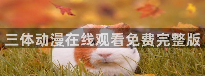 元龙樱花动漫在线观看