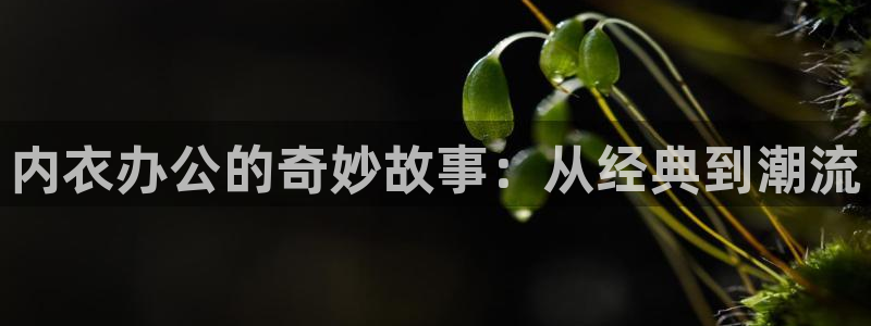 樱花动漫动作片