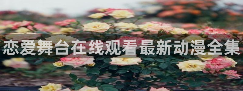 樱花动漫在线观看缘之空