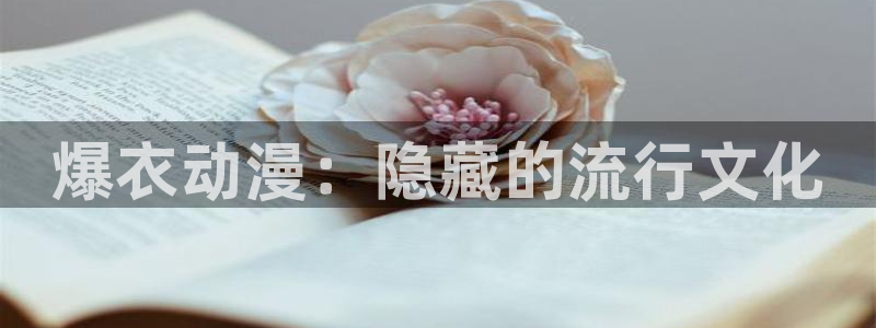 樱花动漫境界的彼方
