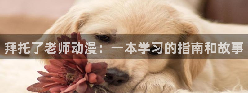 魅魔连结樱花动漫