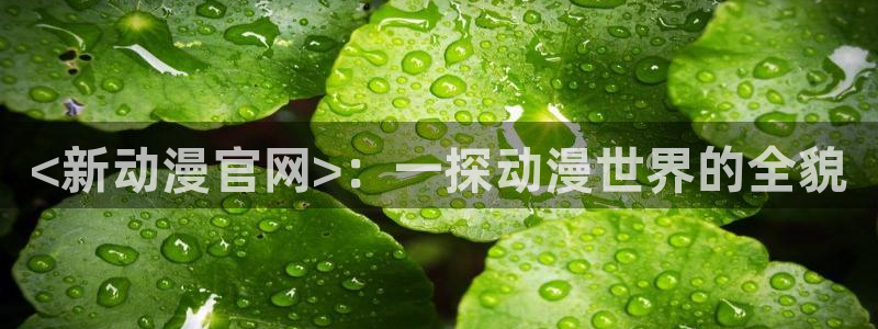 樱花动漫在线免