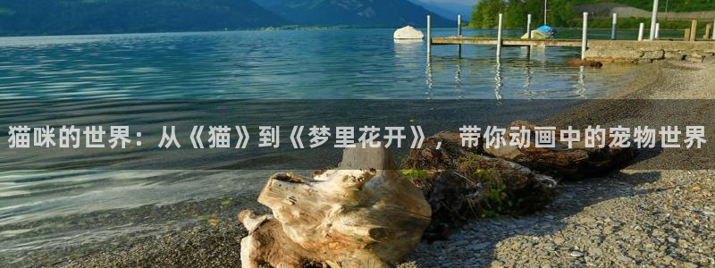 樱花动漫官网6：猫咪的世界：从《猫》到《梦里花开》，带你动画中的宠物世界