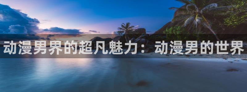 博人传樱花动漫网：动漫男界的超凡魅力：动漫男的世界
