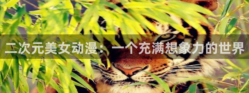美女樱花动漫