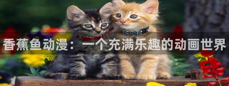 相濡以沫的夜晚樱花动漫