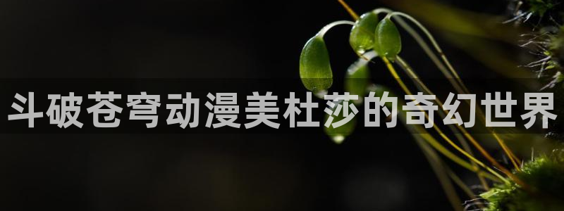 樱花动漫在线网页