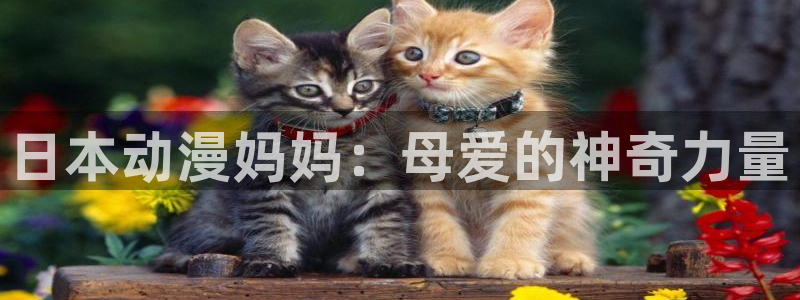 月光下的异世界之旅樱花动漫免费观看