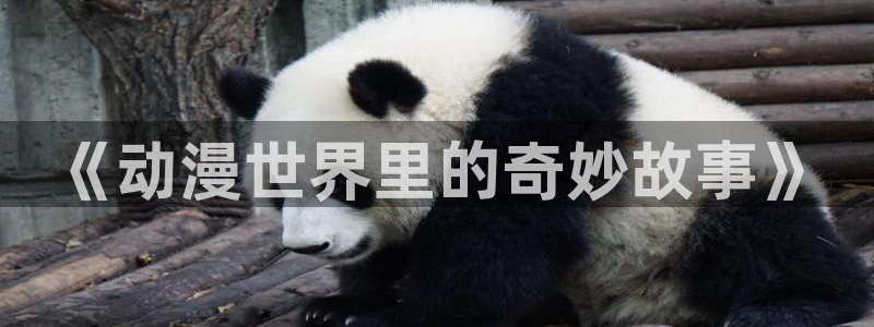 恋如雨止樱花动漫