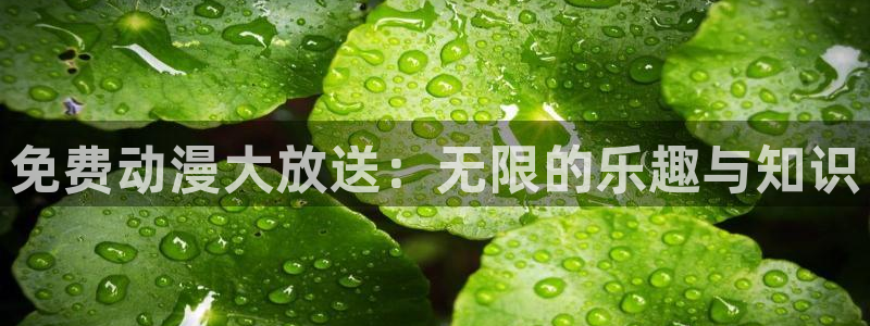 樱花动漫网官网在线看：免费动漫大放送：无限的乐趣与知识